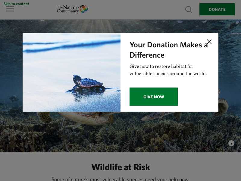 The Nature Conservancy San Diego