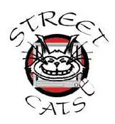 Streetcats Foundation for Youth