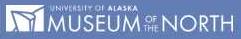 University of Alaska Museum of the North