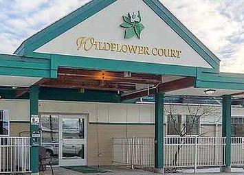 Wildflower Court in Juneau