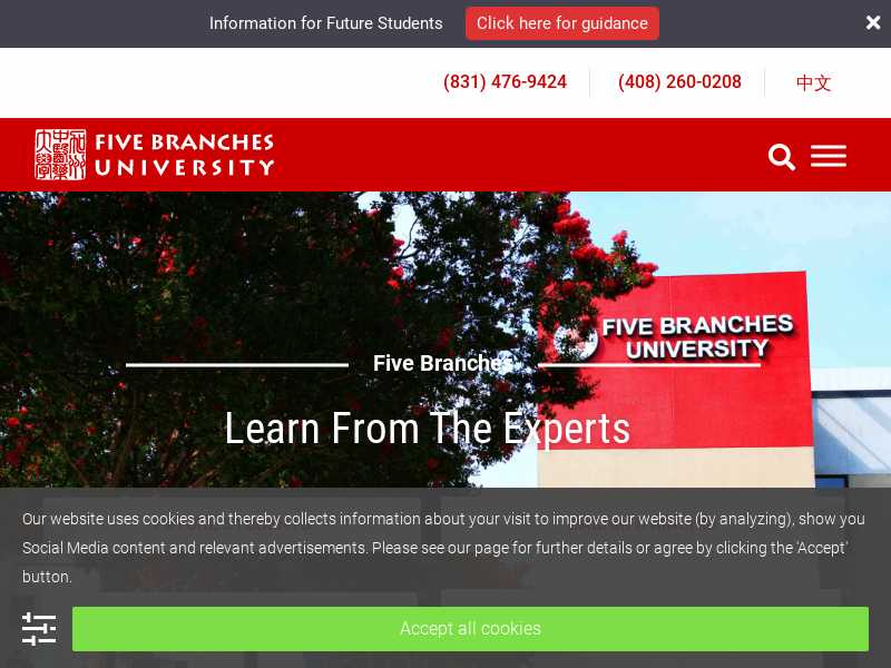 Five Branches University