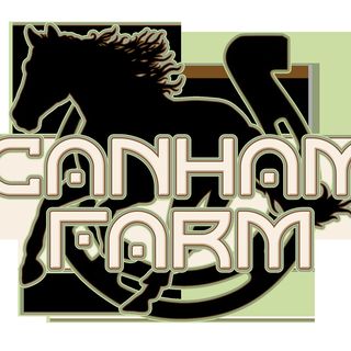 Canham Farm Horse Rescue 