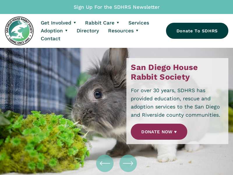 San Diego House Rabbit Society