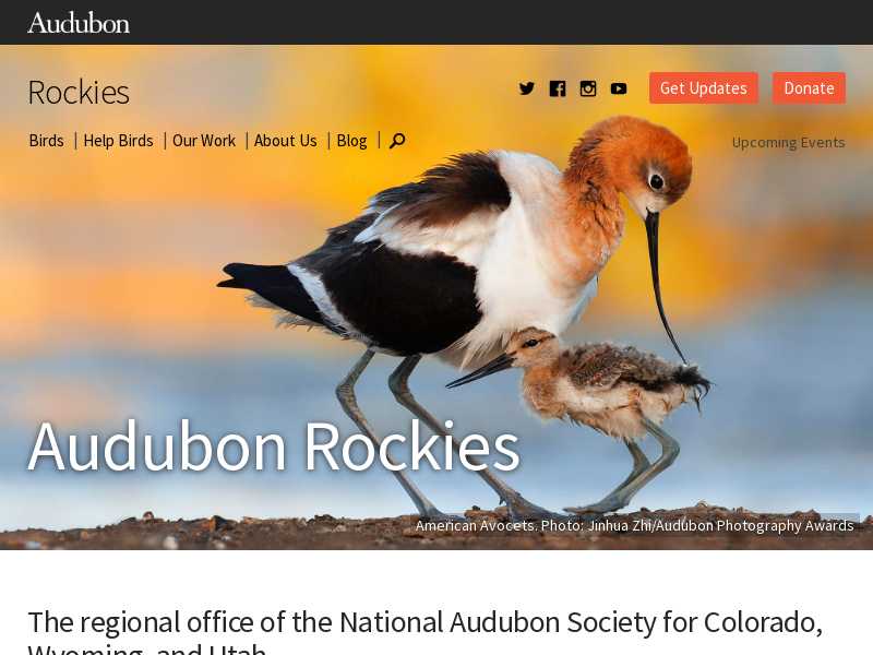 Audubon Colorado