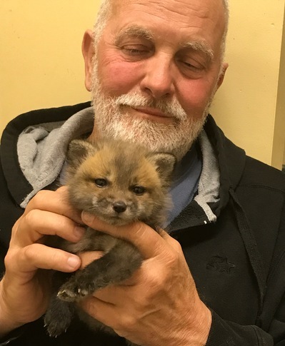 Red Wolf Sanctuary