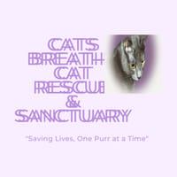 Cats Breathe Cat Rescue & Sanctuary 