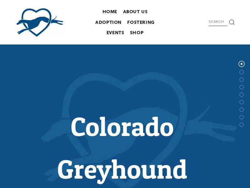 Colorado Greyhound Adoption