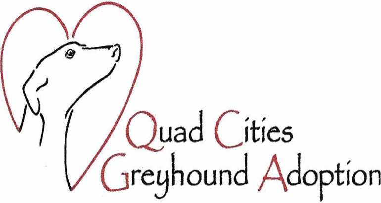 Quad Cities Greyhound Adoption